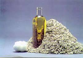 Cottonseed Oil Manufacturer Supplier Wholesale Exporter Importer Buyer Trader Retailer in Gujarat  India